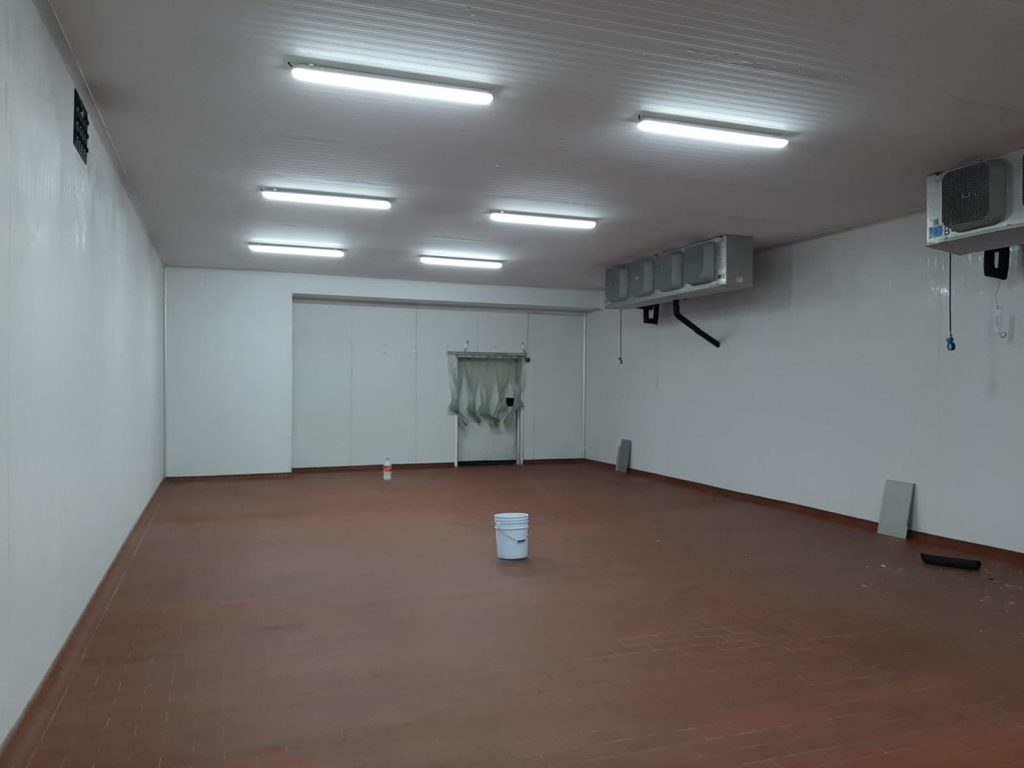 Cámara Congelación